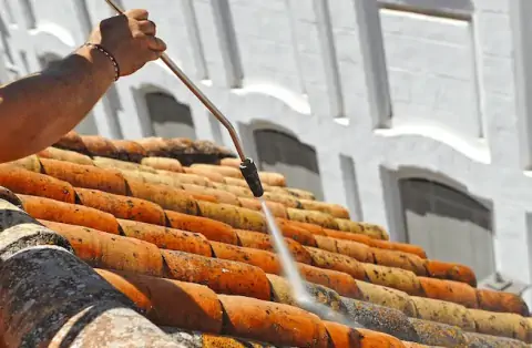 Nettoyage de toitures - Saint-Cyprien